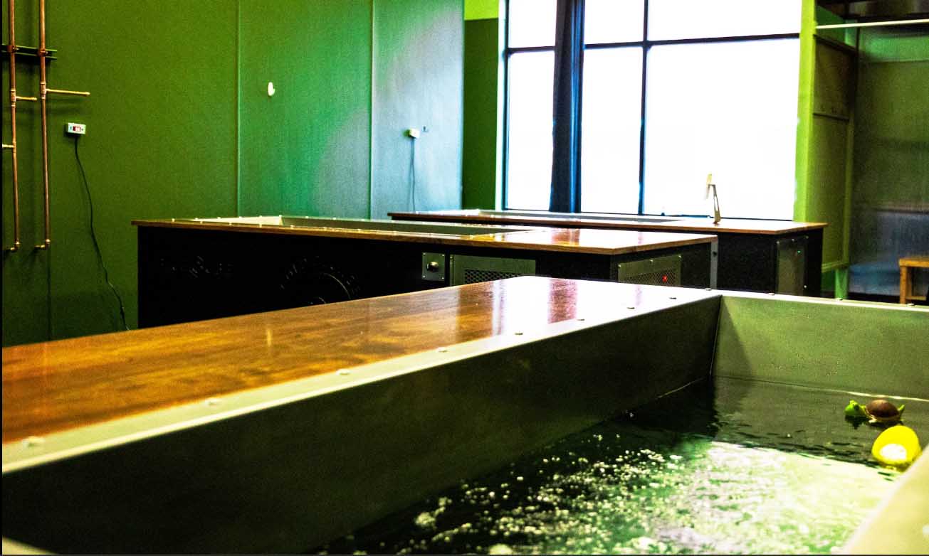 Three custom BlueCube cold plunges with walnut decks installed in the recovery room at Cold Plunge Coffee in Salt Lake City, UT